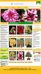 Mobile Screenshot of hoamaivietnam.com