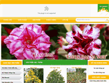 Tablet Screenshot of hoamaivietnam.com